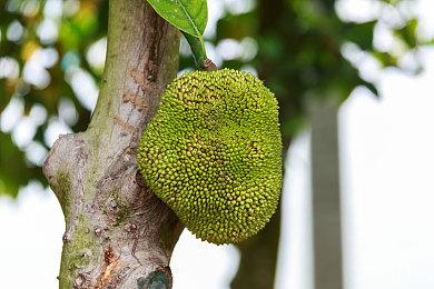 《波动》开发者Rob Hale去世 遗嘱将游戏全部免费